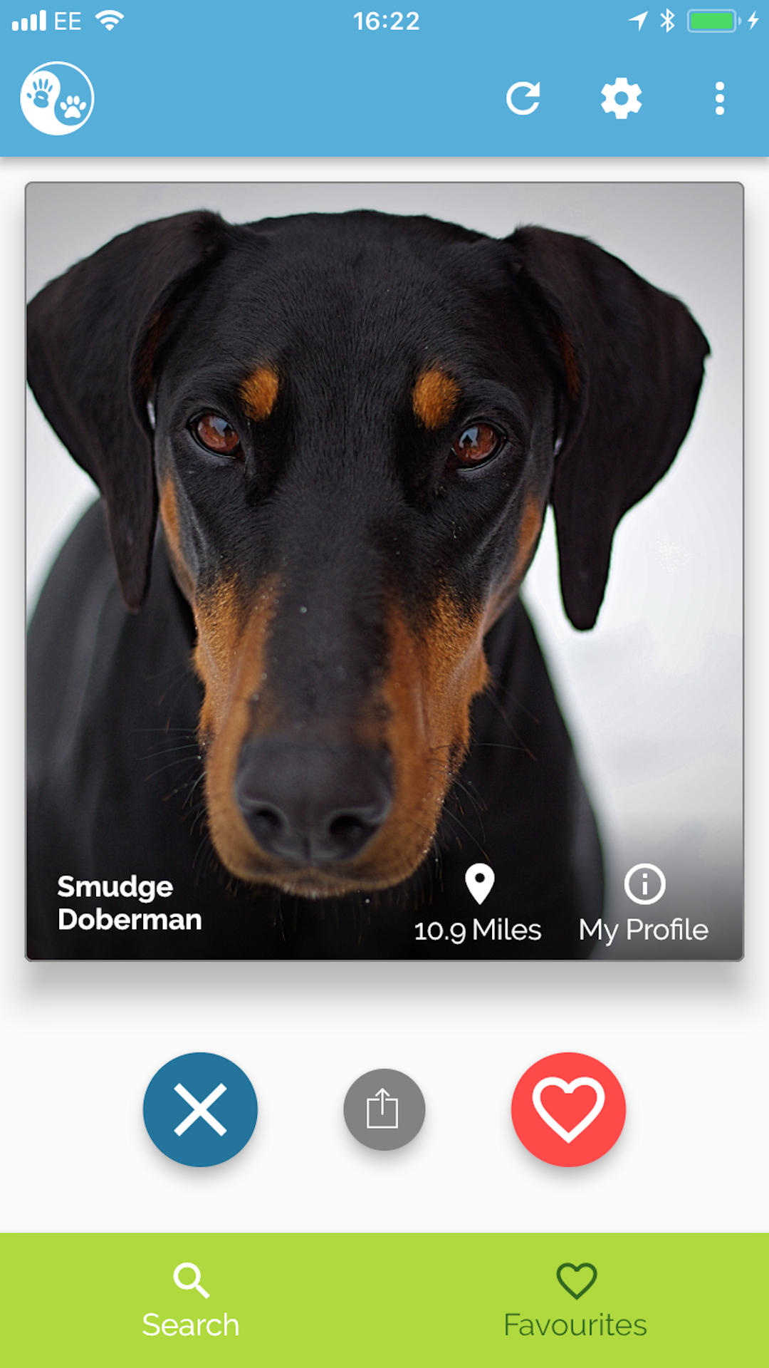 Pawfect Match screenshot