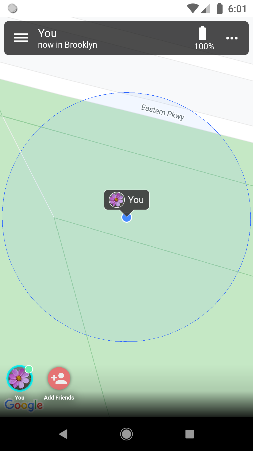 Find My Friends screenshot