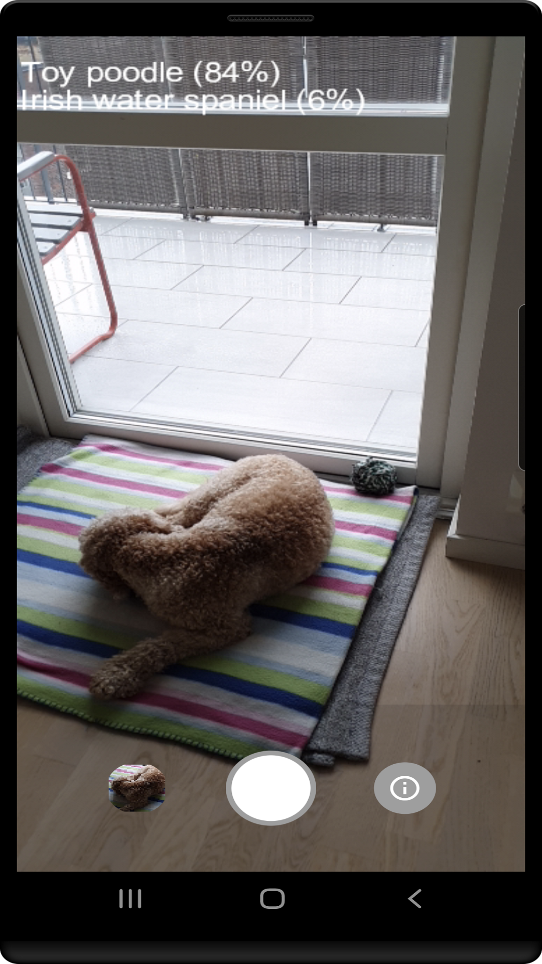 Dog Camera screenshot