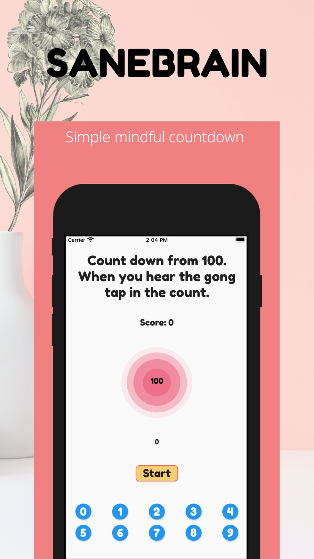 Sanebrain: Simple Guided Meditation & Mindfulness screenshot