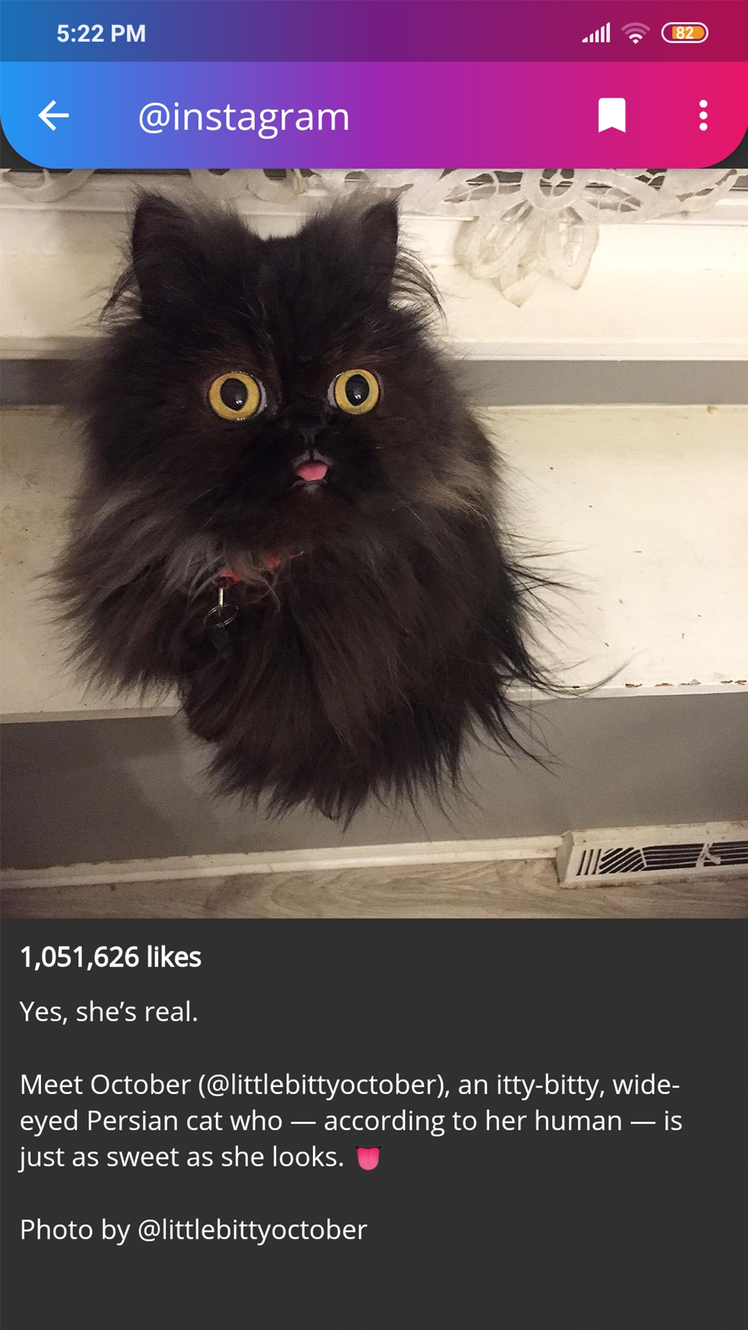 Helper for Instagram screenshot