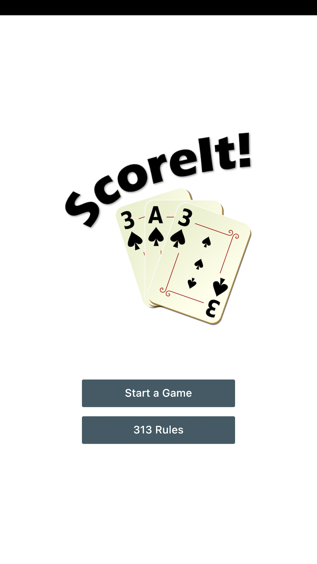 ScoreIt! 313 screenshot