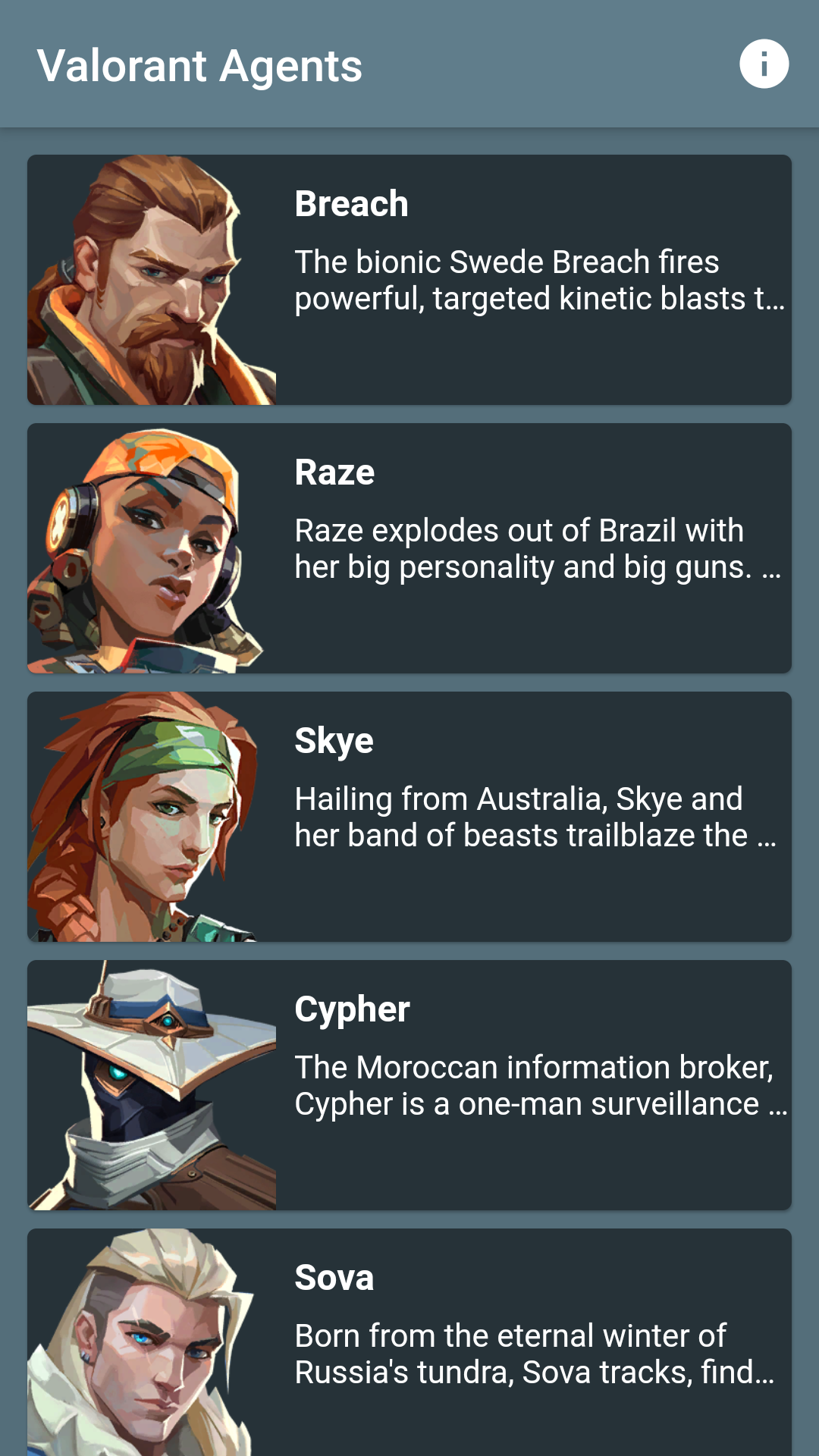 Valorant Agents screenshot
