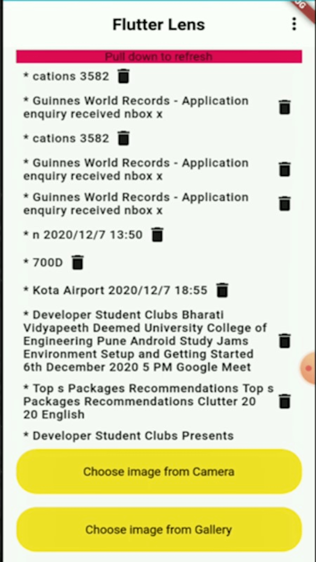 Flutter Lens app screenshot