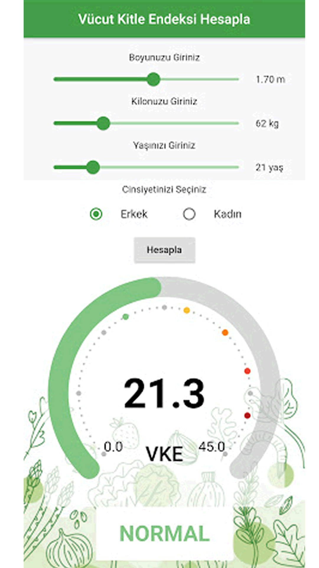 Vücut Kitle Endeksi screenshot