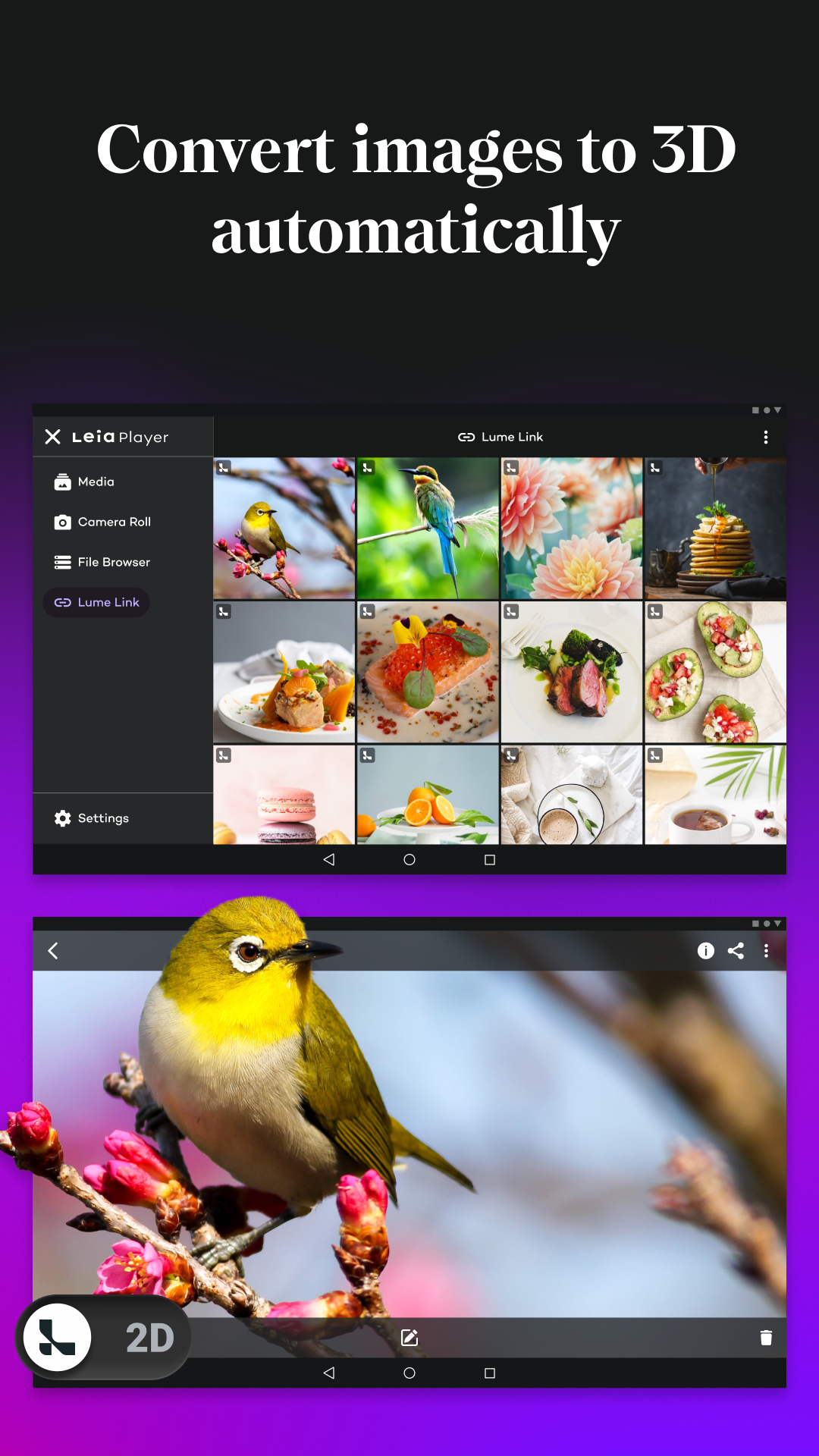LeiaLink screenshot