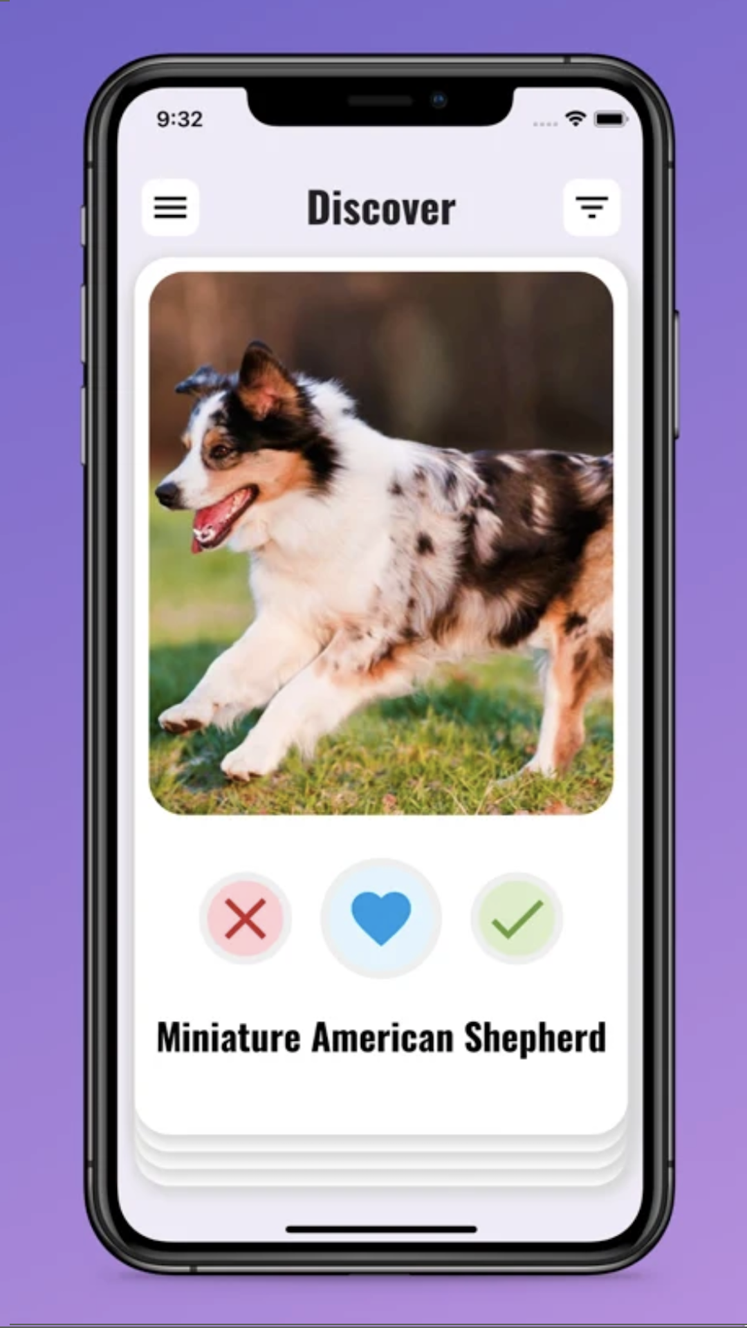 PawLove screenshot
