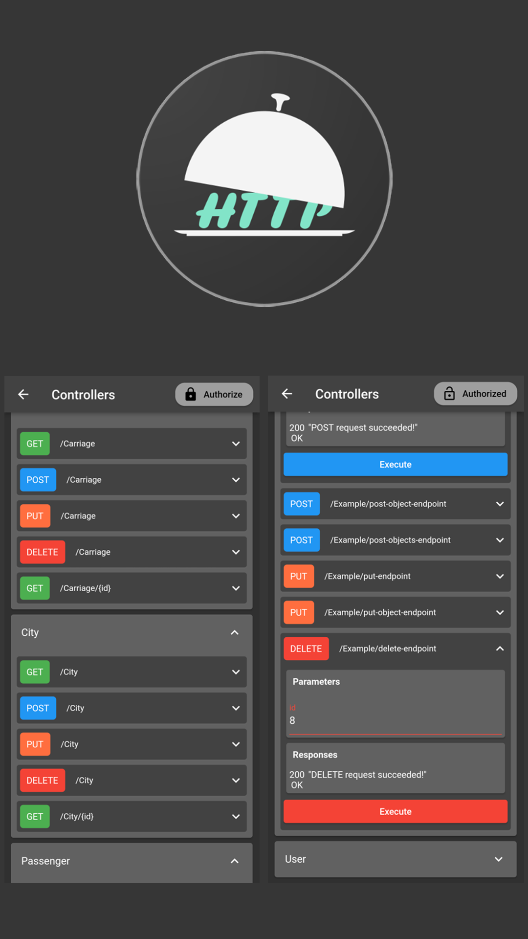 OpenAPI Mobile Client screenshot