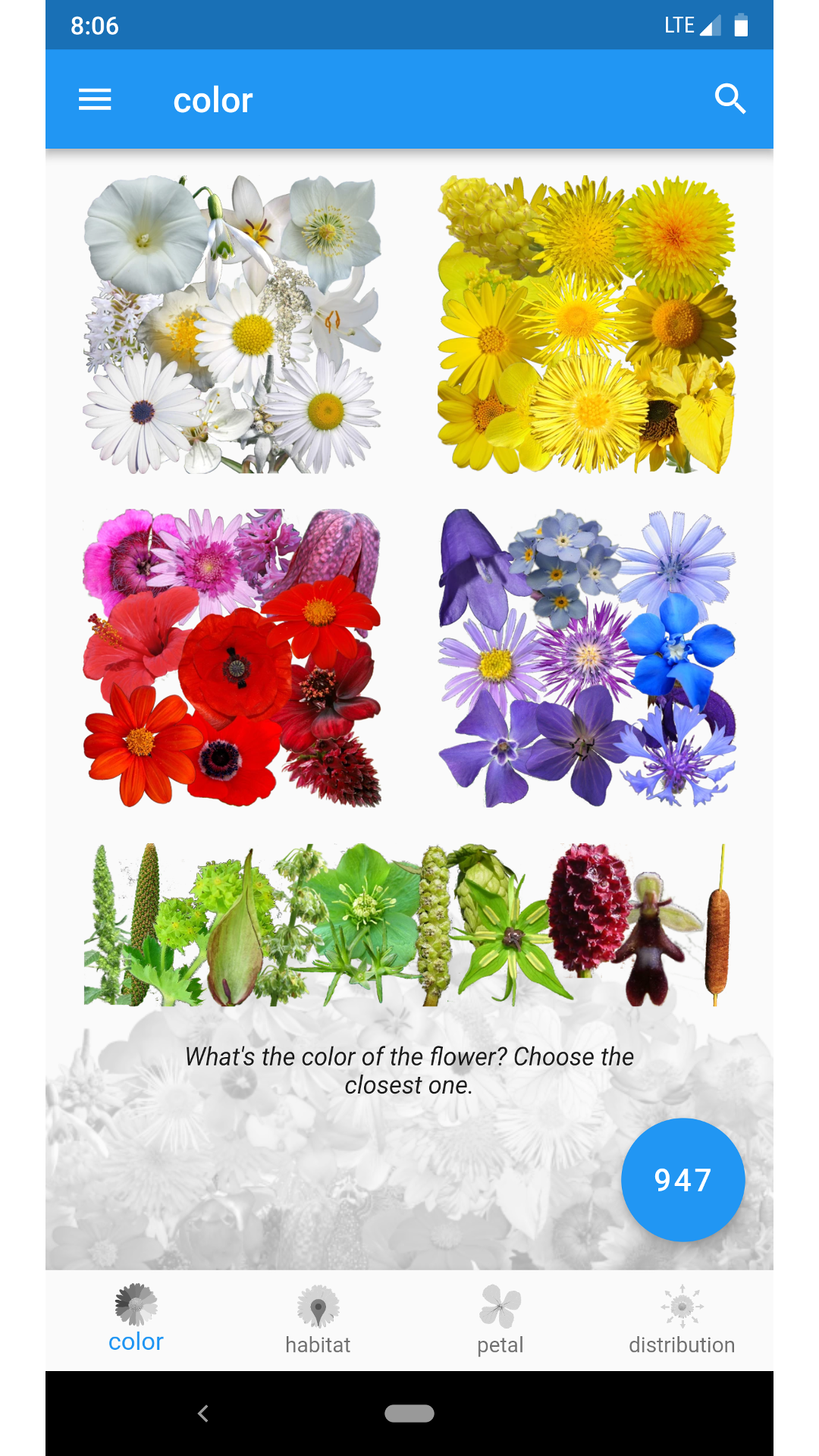 What's that flower? screenshot