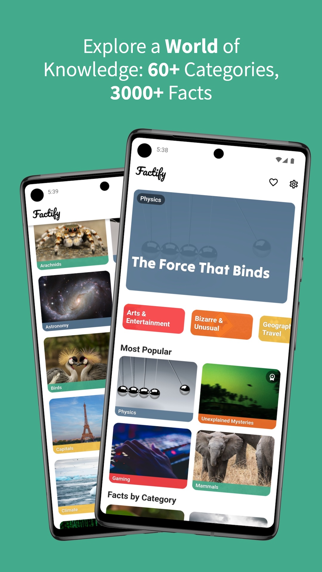 Factify Facts screenshot