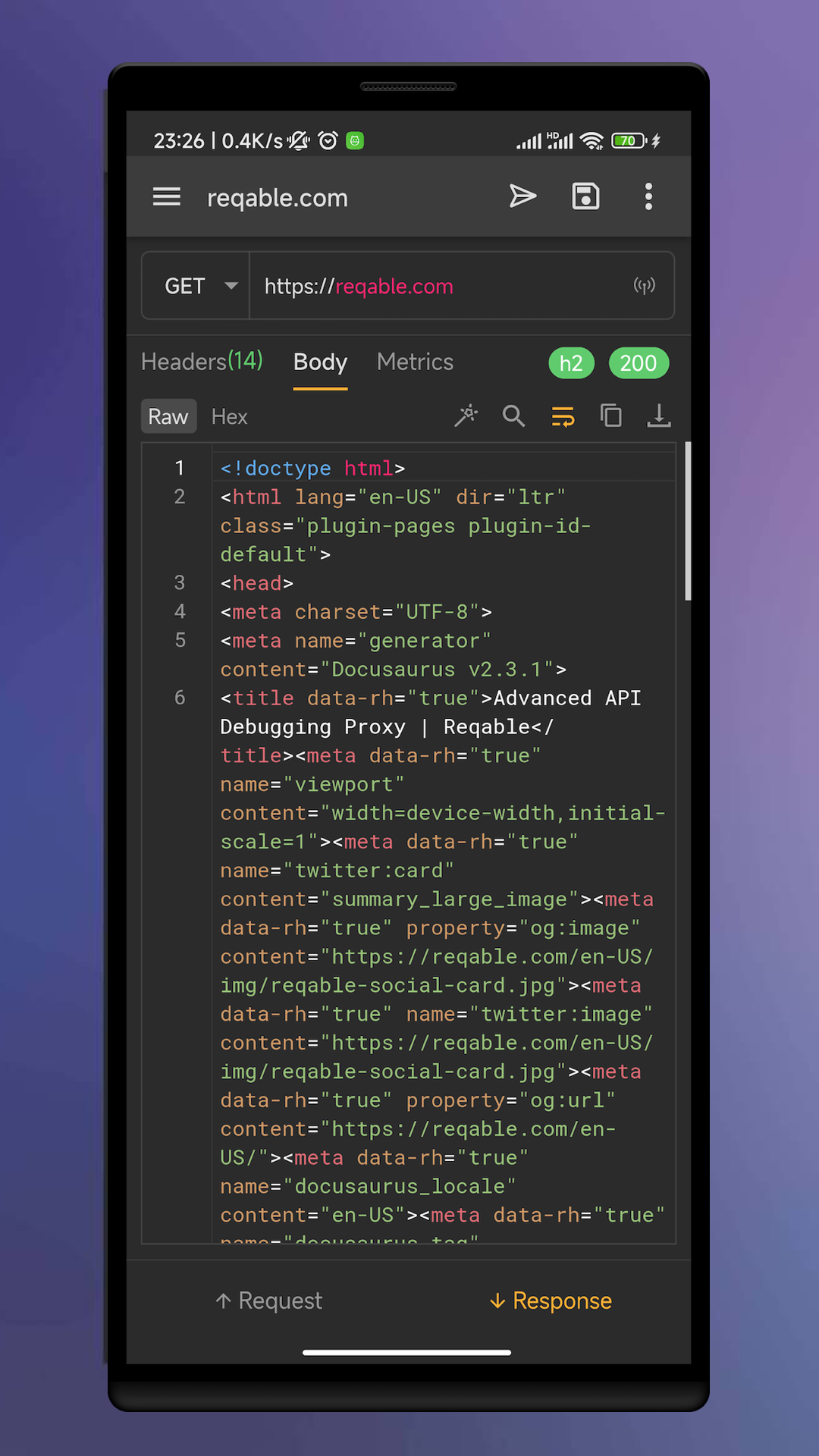 Reqable screenshot