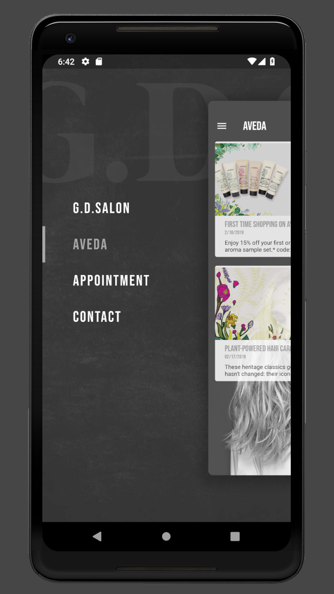 G.D.Salon screenshot