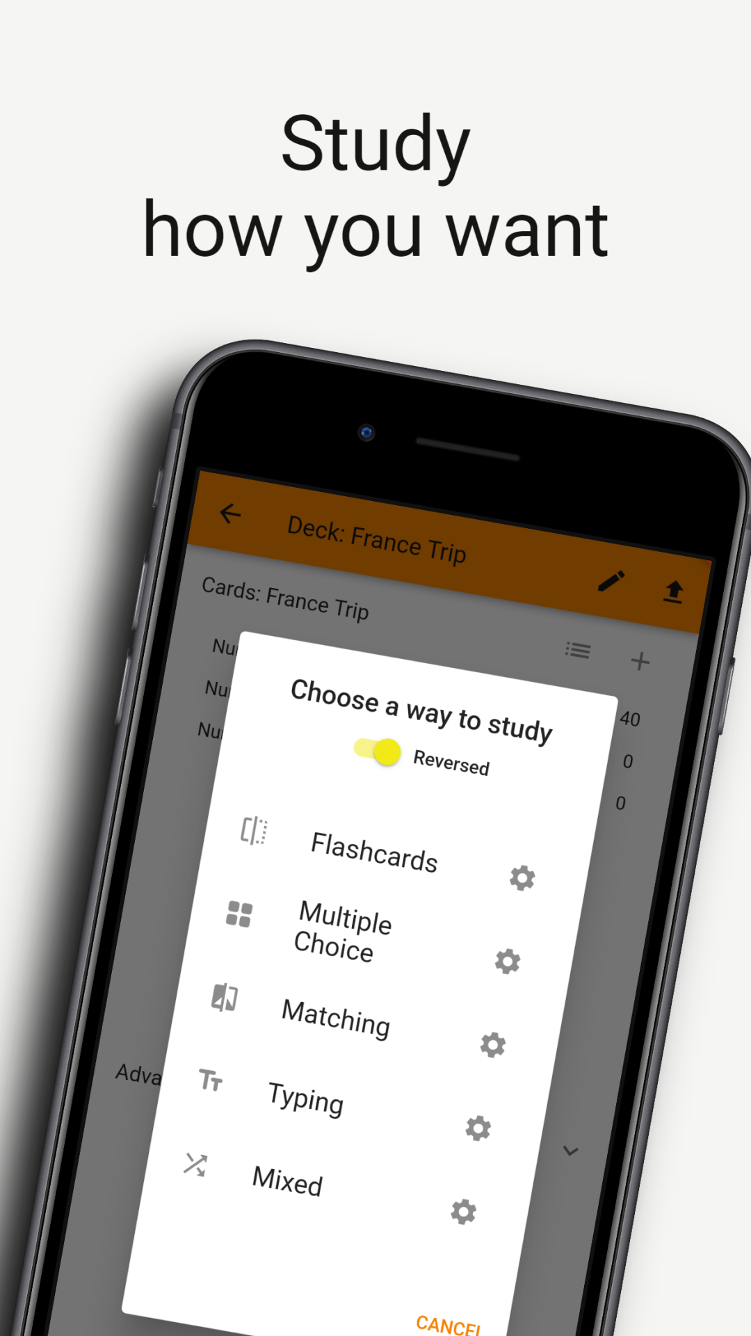 Flash Focus - Language Cards screenshot
