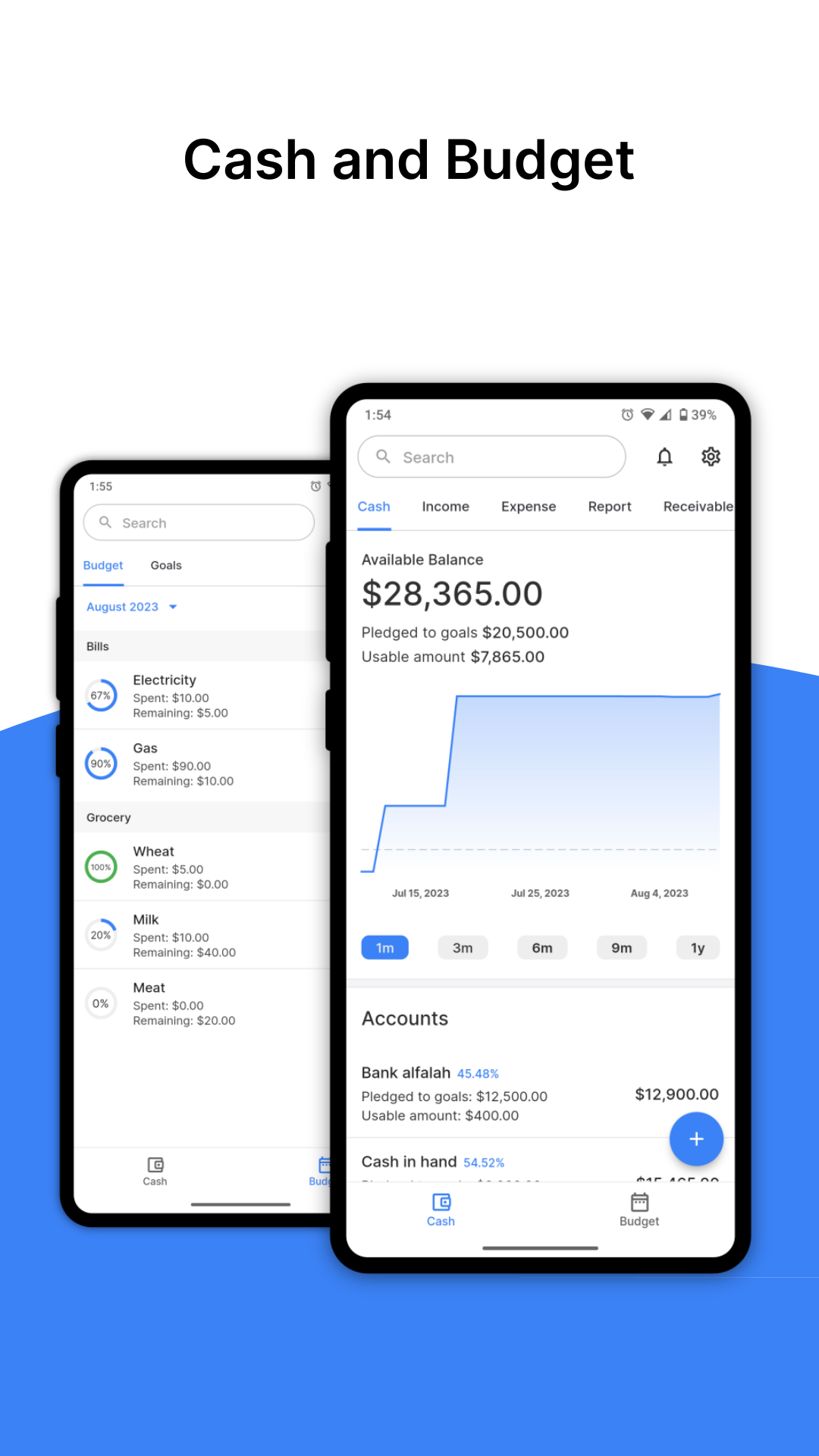 Cash and Budget screenshot