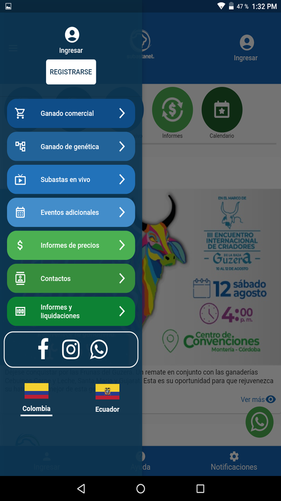 Subastanet screenshot