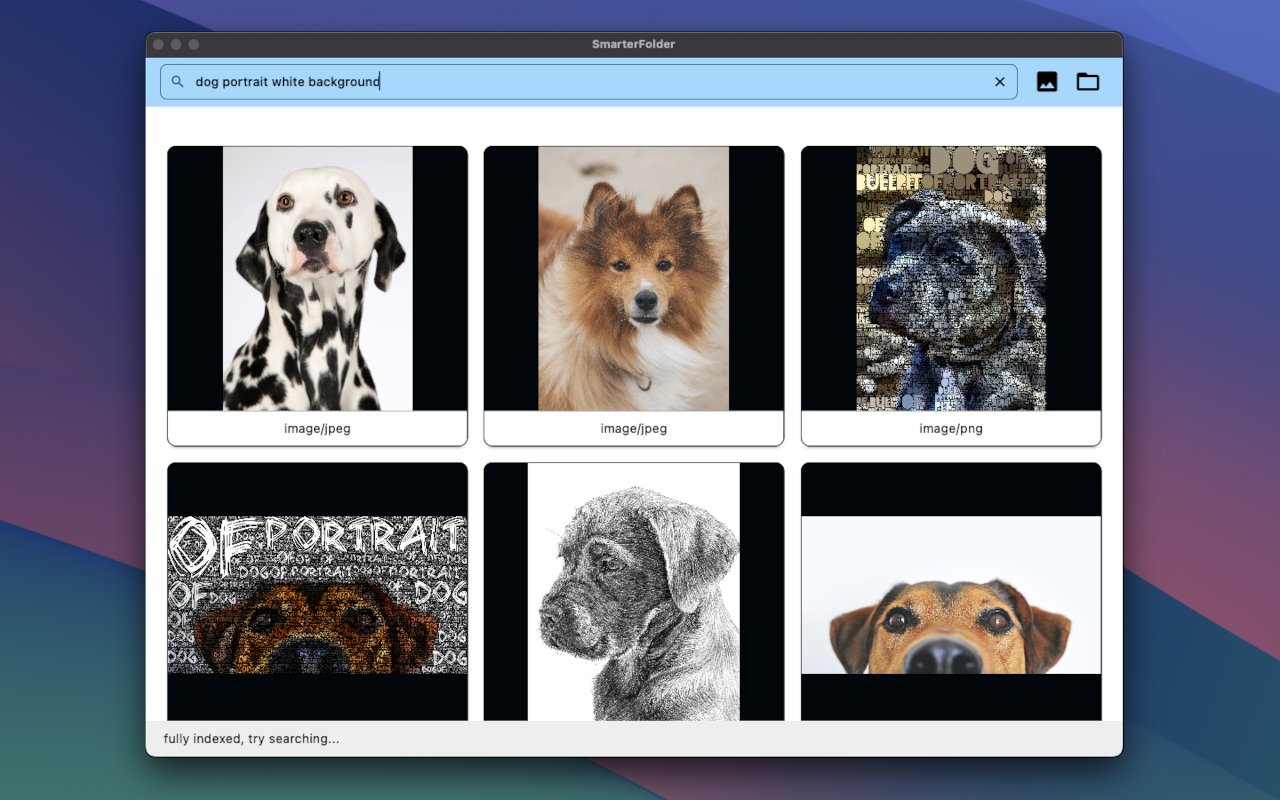 SmarterFolder on desktop
