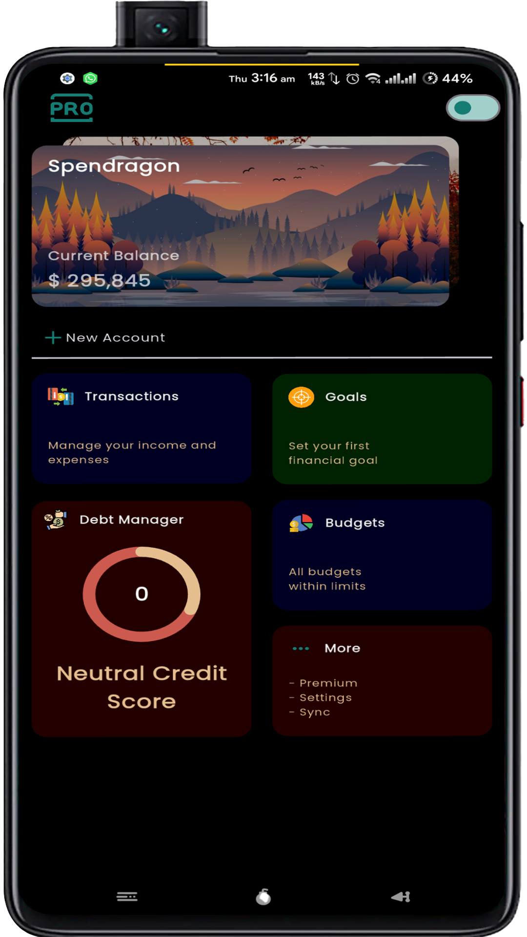 Money Budger screenshot