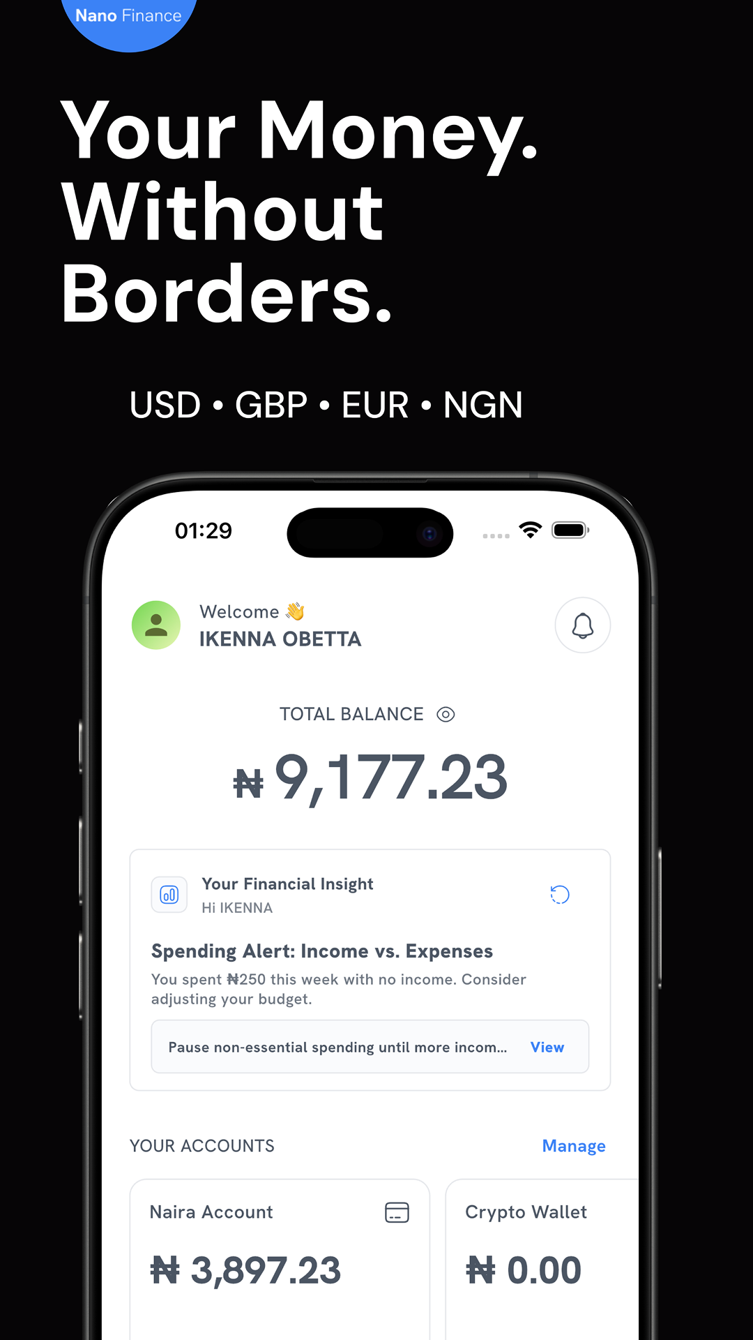 Nanopay screenshot