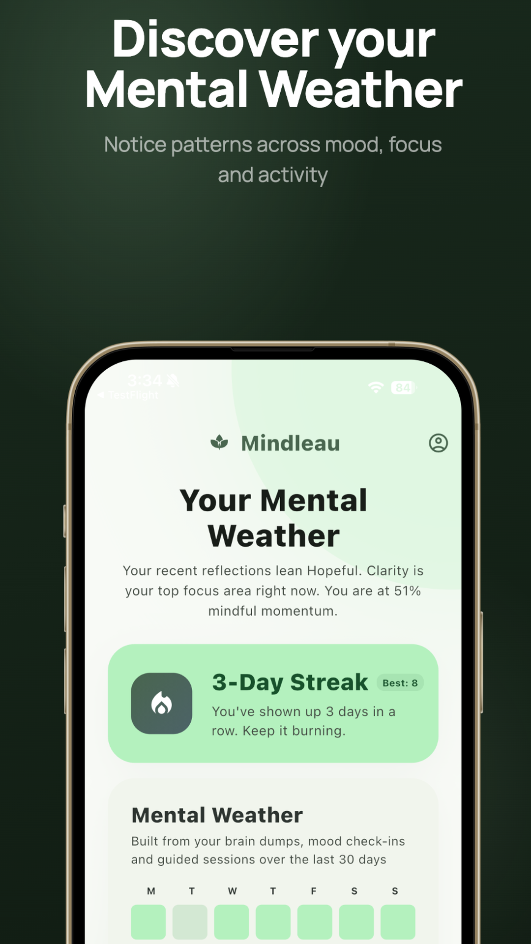 MindLeau: Brain Dump & Journal screenshot