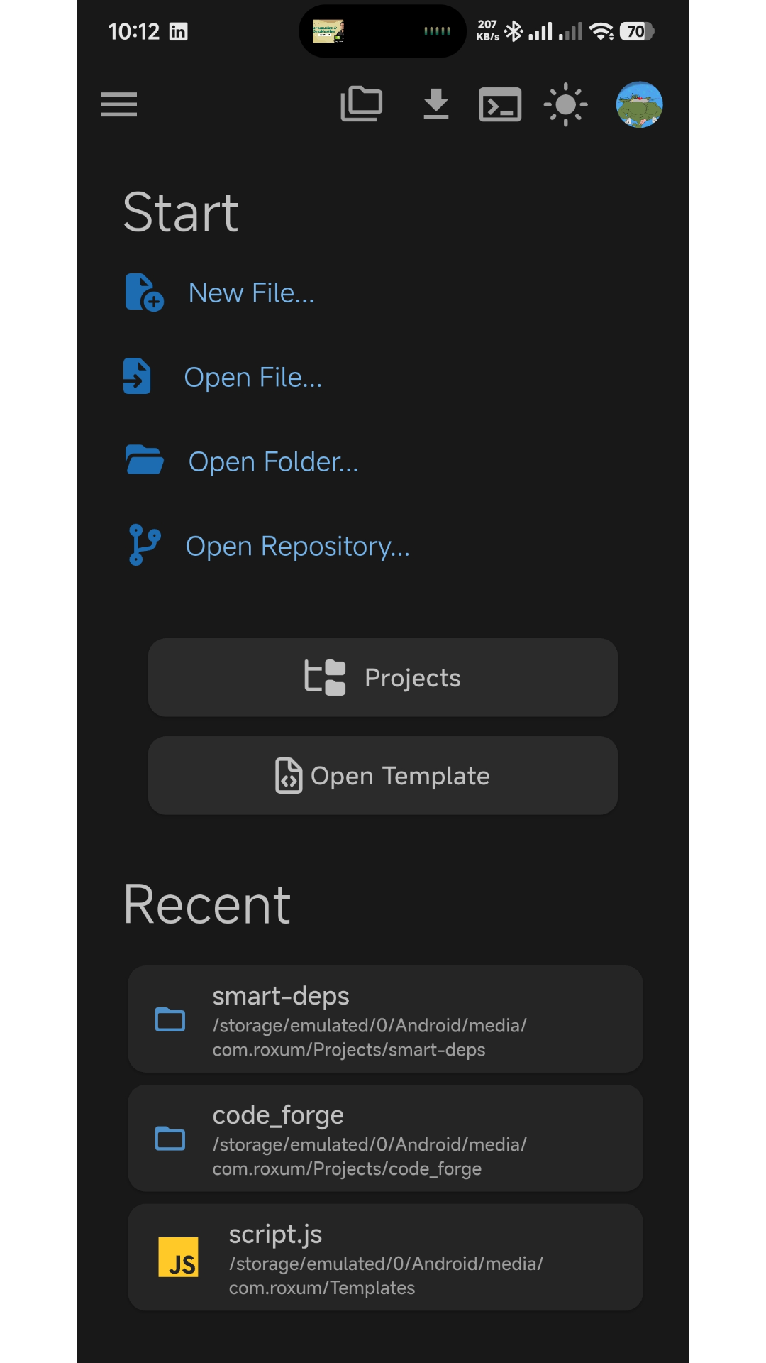 Roxum IDE screenshot