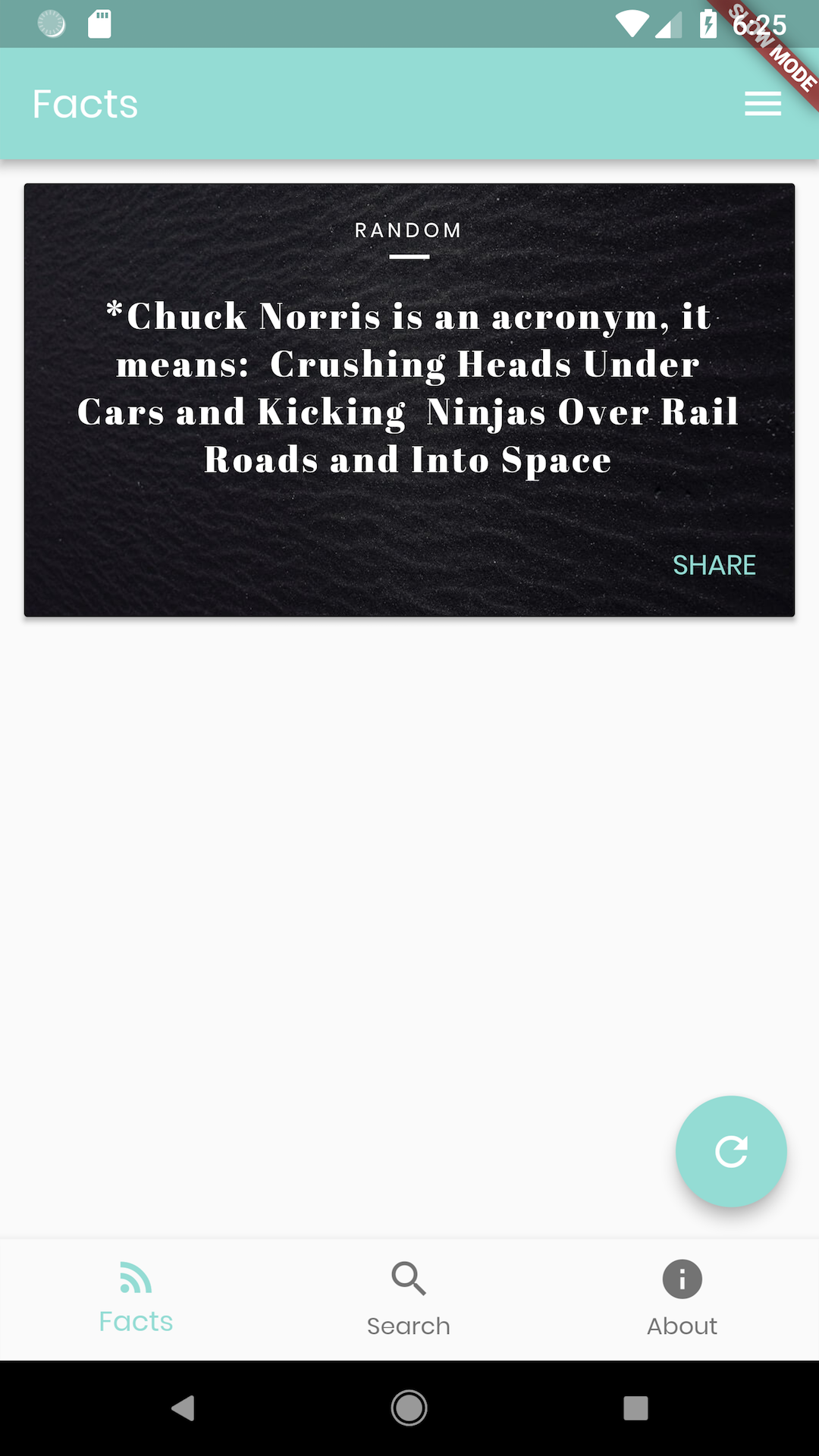 Chuck Norris Facts screenshot