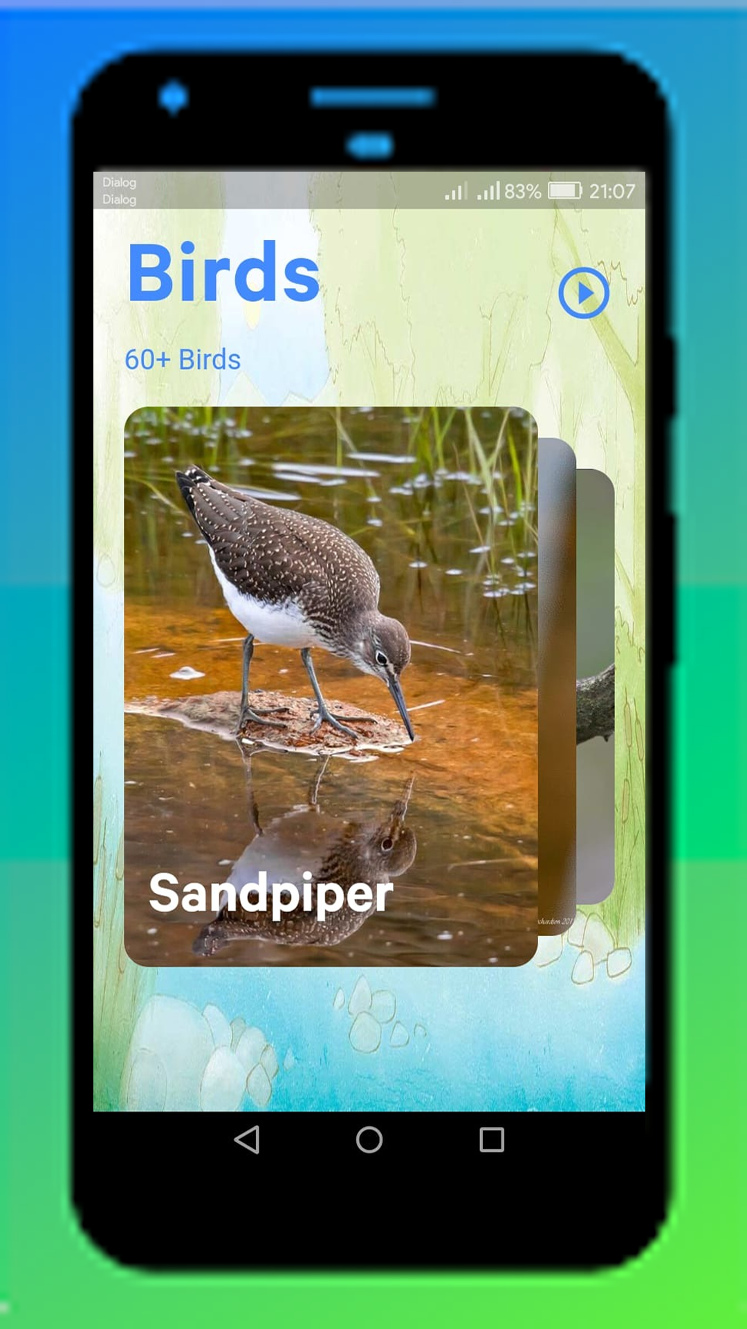 Bird Sounds screenshot